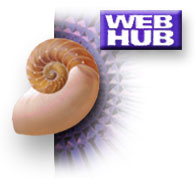 Built with WebHub Lite